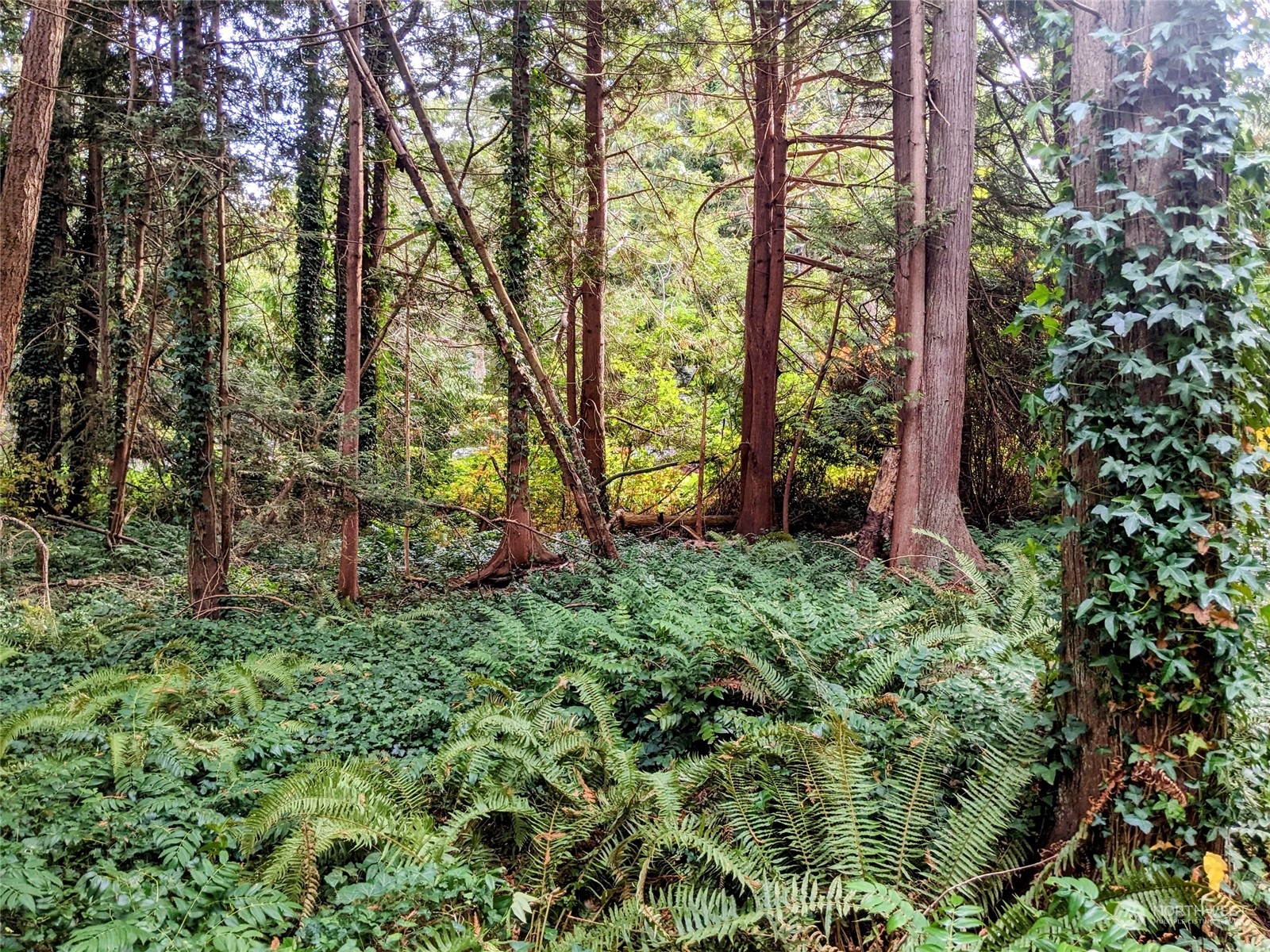 2 Sanders Court Point Roberts, WA 98281 - Photo 1 of 13 Gallery Image 1