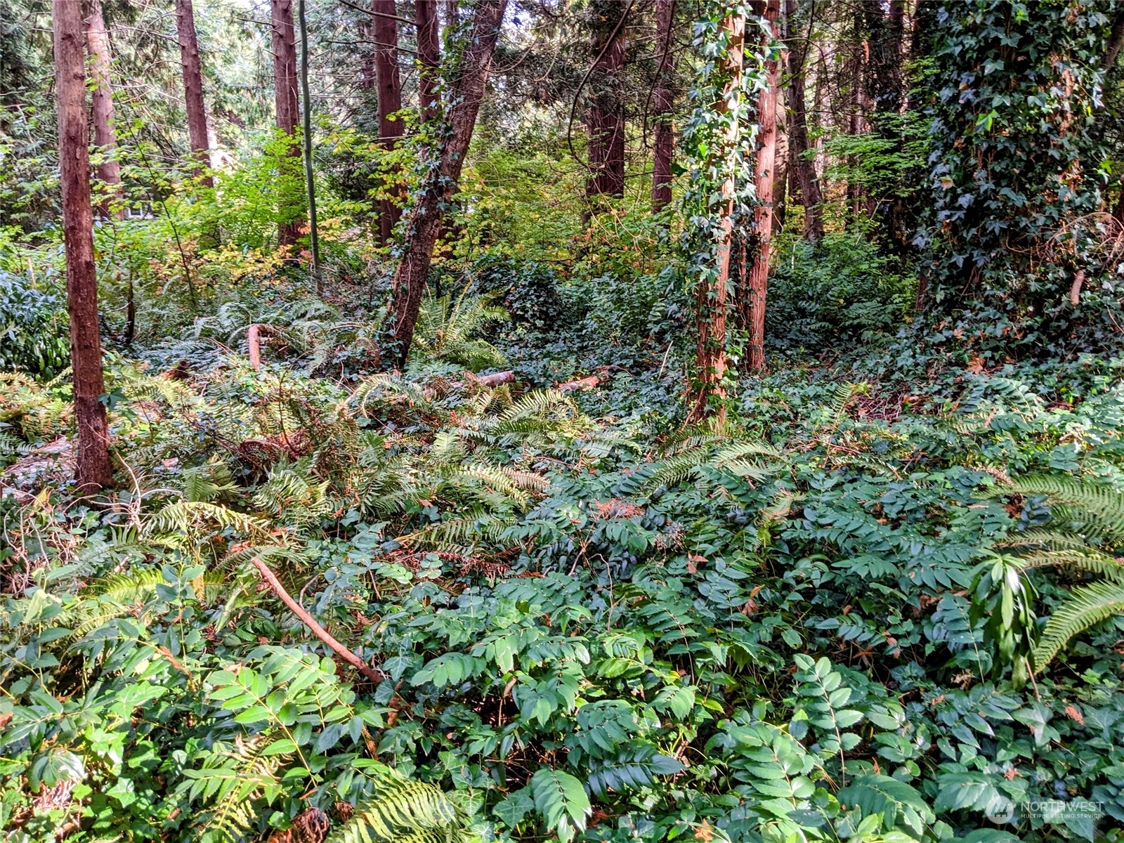 2 Sanders Court Point Roberts, WA 98281 - Photo 5 of 13 Gallery Image 5
