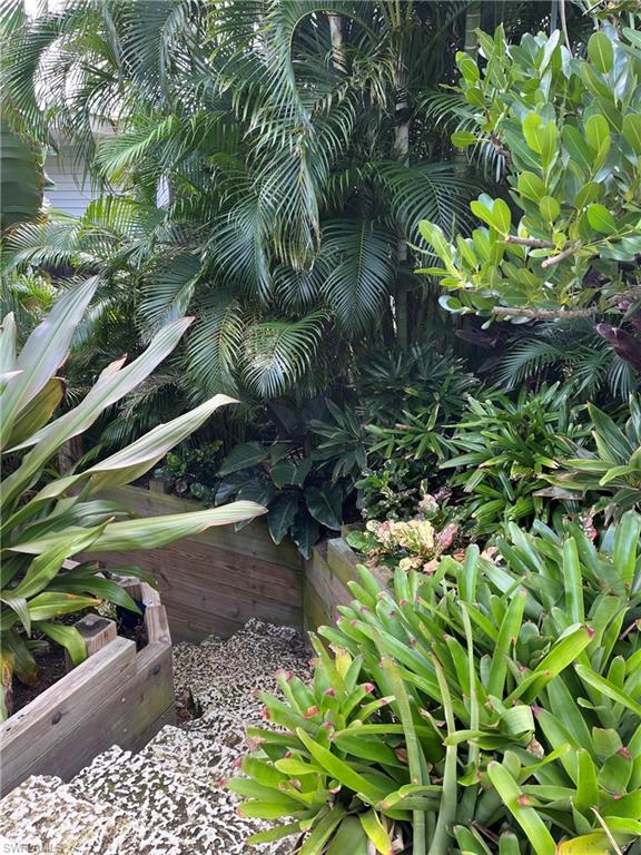 105 Useppa Bokeelia, FL 33922 - Photo 29 of 39 a plant that is in a garden