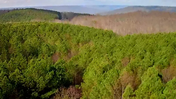 $29,900 | 1560 Thunder Ridge Drive, Unit 48, Sherwood, TN 37376