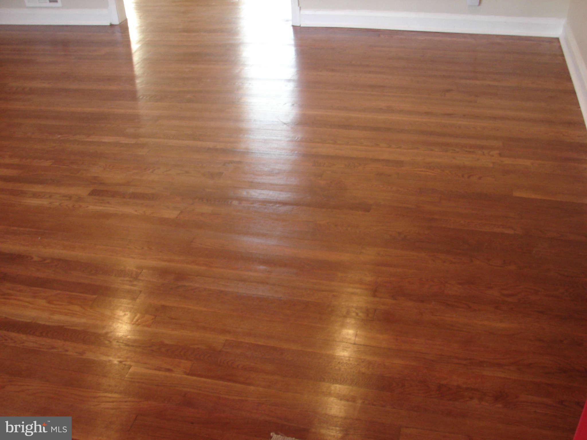 5413 Sagra Road Baltimore, MD 21239 - Photo 5 of 17 Living Room