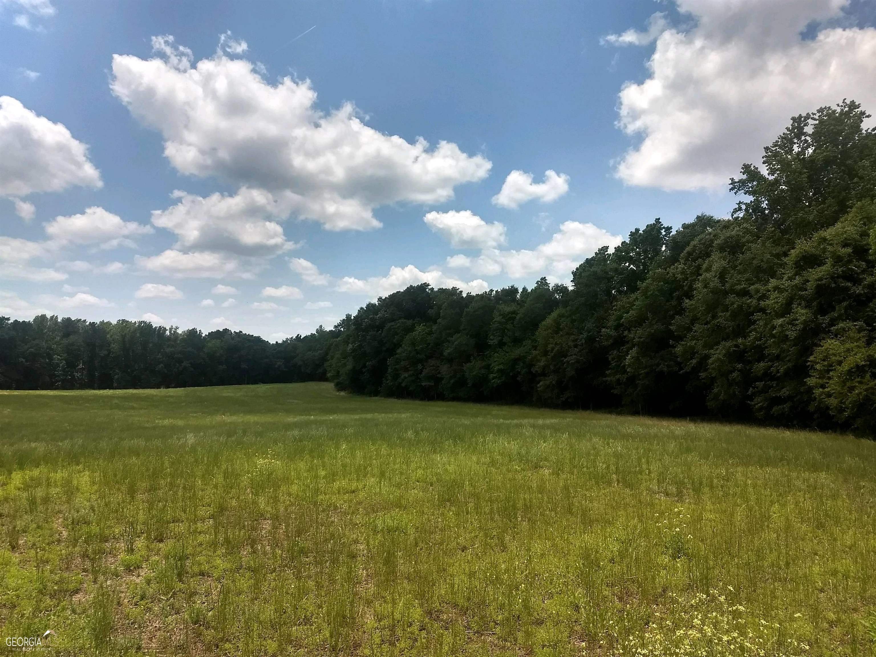 a view of a field with an trees in the background