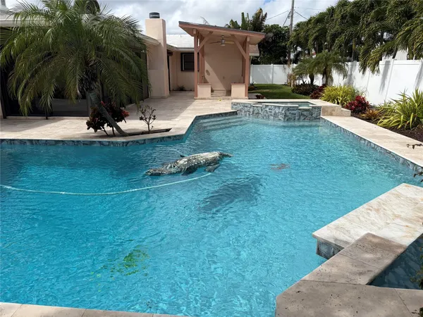 a view of a backyard with plants and palm tree