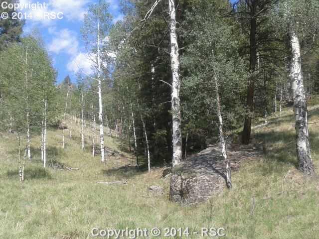 Charming View View Divide Divide, CO 80814 - Photo 16 of 18 Gallery Image 16