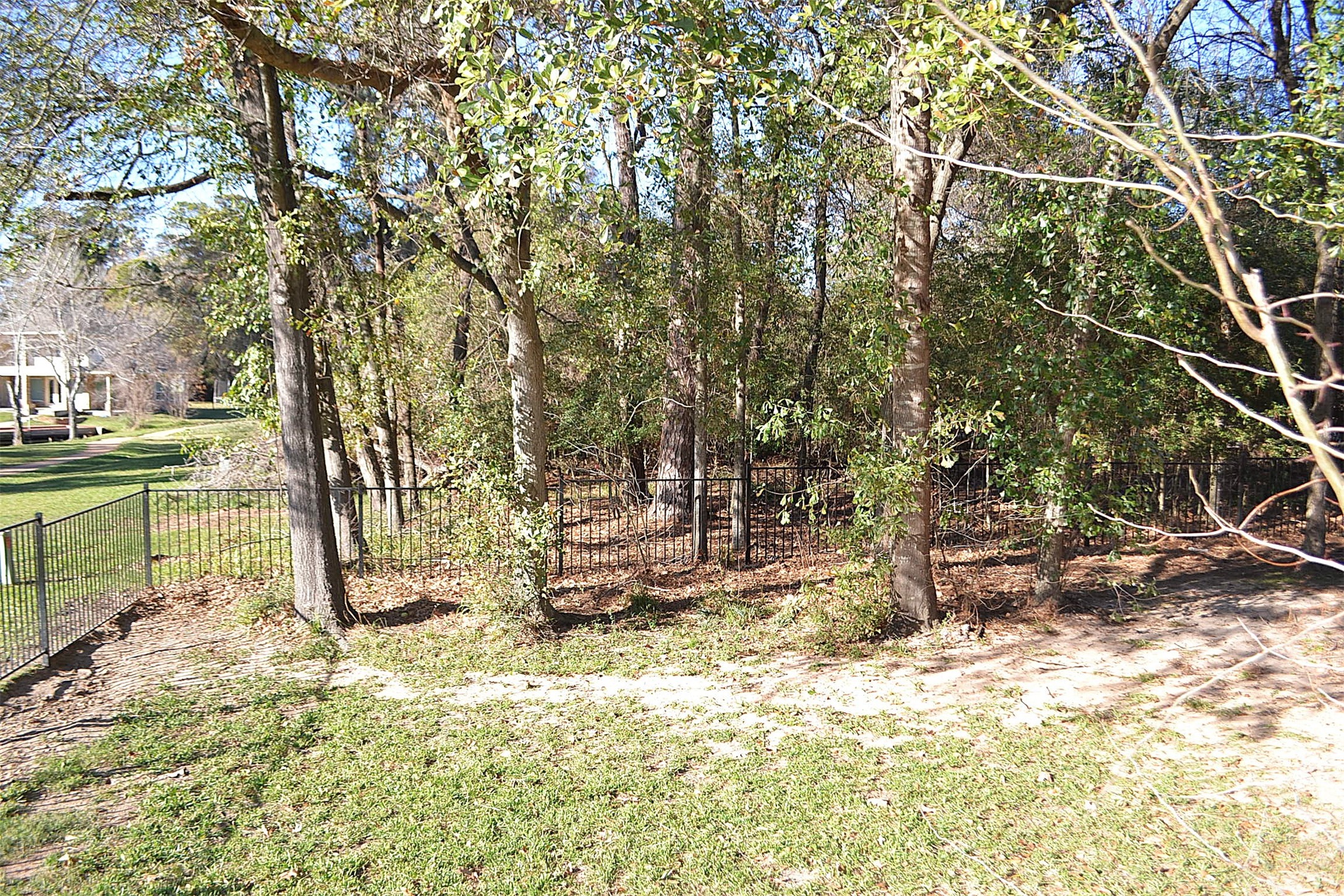 2931 Whitman Drive Montgomery, TX 77356 - Photo 39 of 49