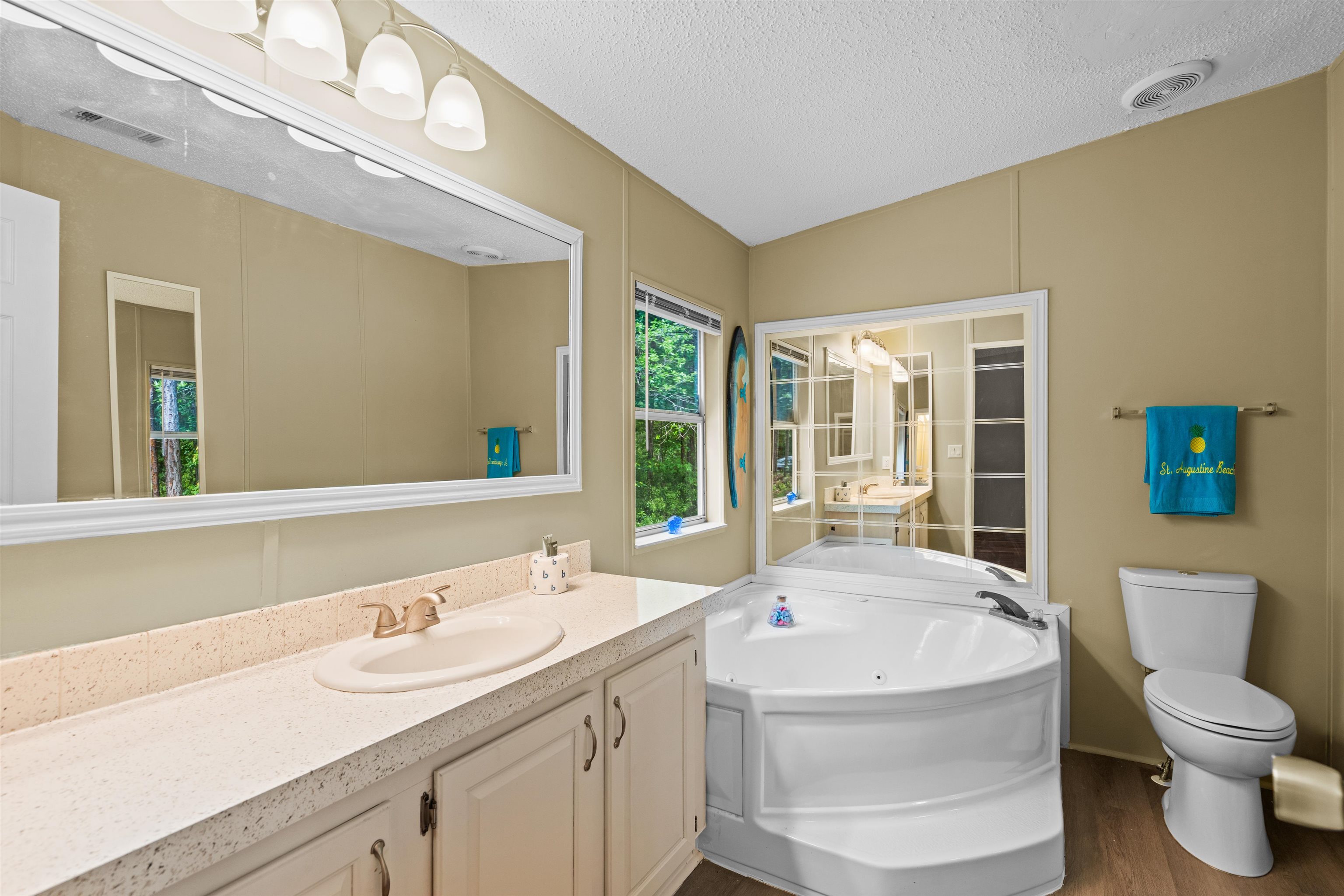 2130 Carter Road St. Augustine, FL 32084 - Photo 27 of 67 Bathroom featuring a jetted tub, vanity, and dark wood-style flooring