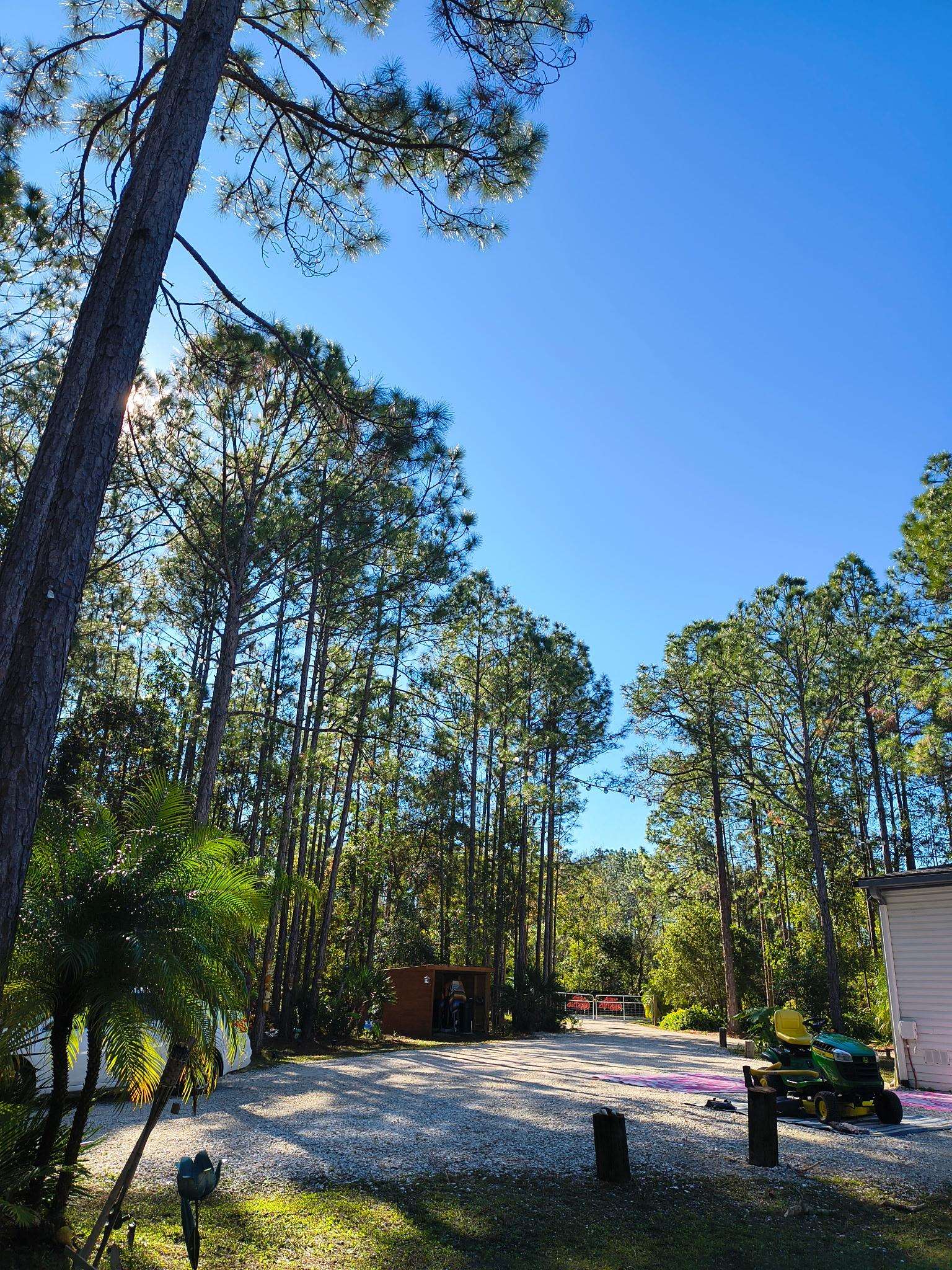 2130 Carter Road St. Augustine, FL 32084 - Photo 49 of 67