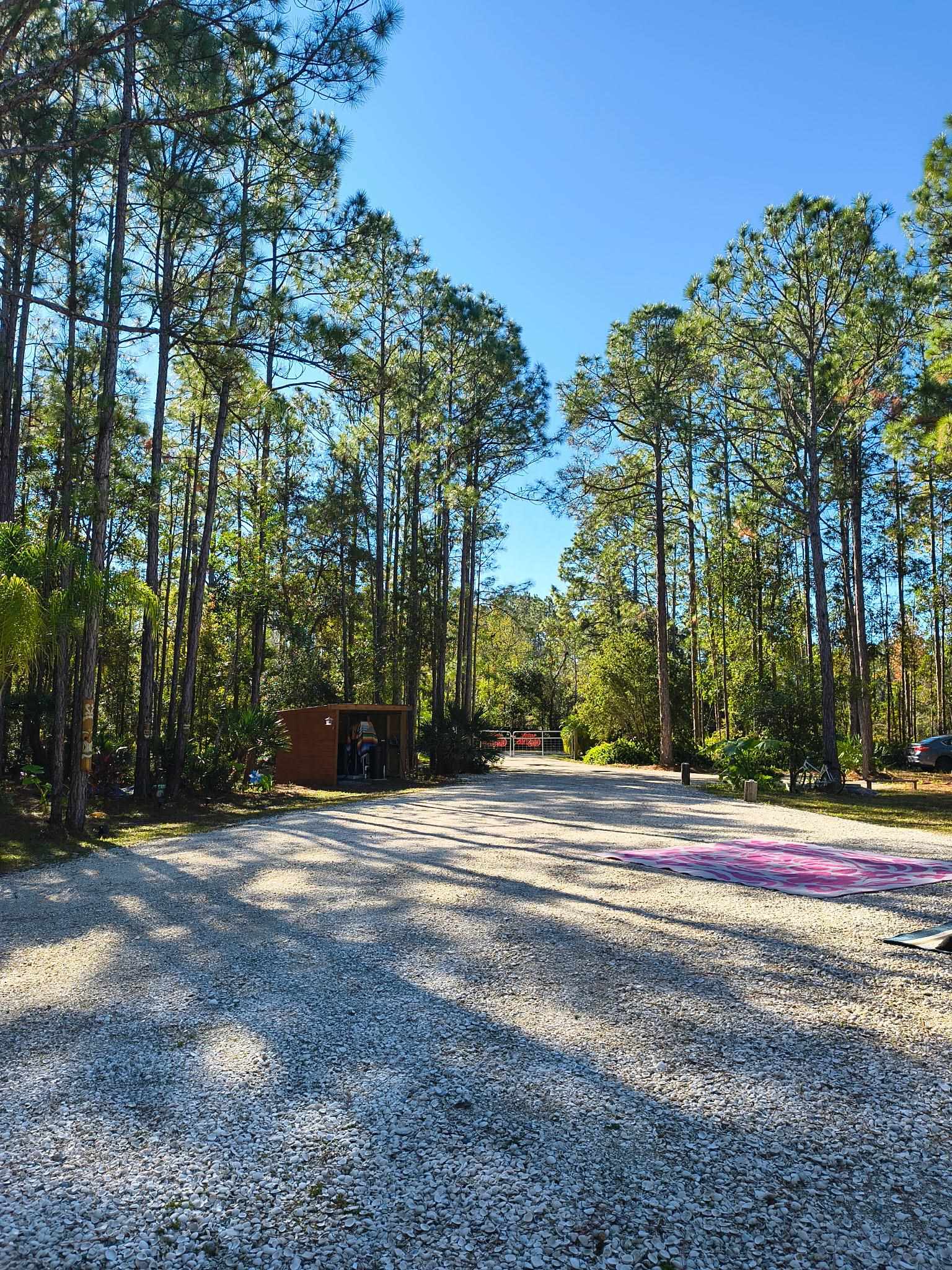 2130 Carter Road St. Augustine, FL 32084 - Photo 50 of 67