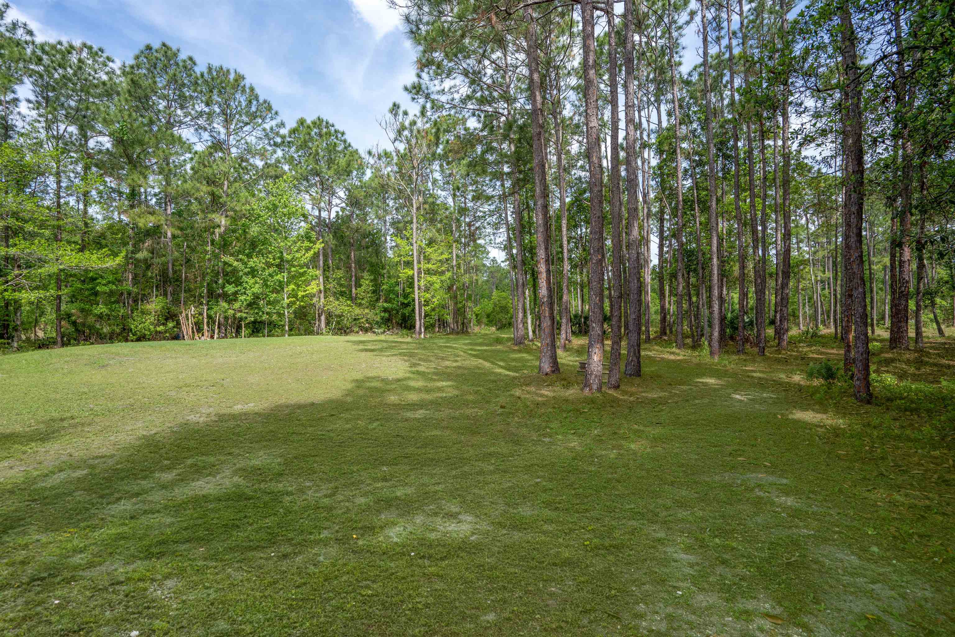 2130 Carter Road St. Augustine, FL 32084 - Photo 53 of 67 View of green lawn