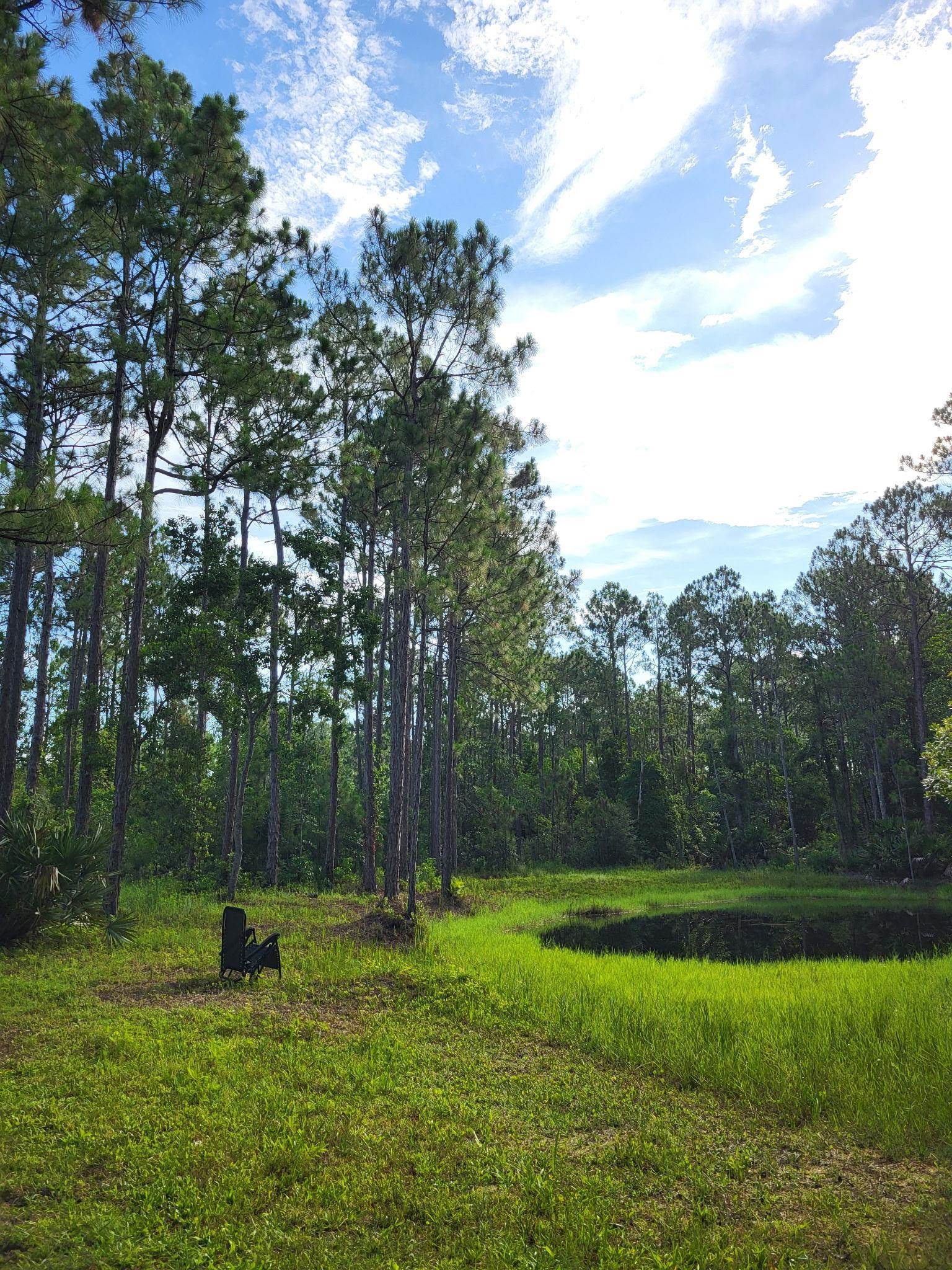 2130 Carter Road St. Augustine, FL 32084 - Photo 63 of 67 View of yard