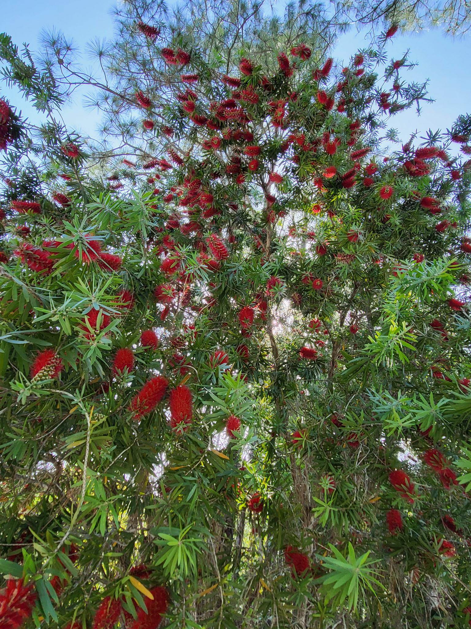 2130 Carter Road St. Augustine, FL 32084 - Photo 65 of 67 Exterior view