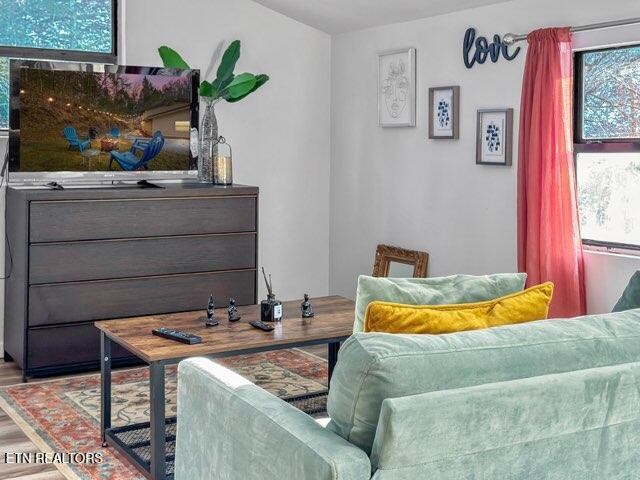 4204 Dellinger Hollow Road, Unit 2 Sevierville, TN 37863 - Photo 6 of 13 a bedroom with a bed and a potted plant