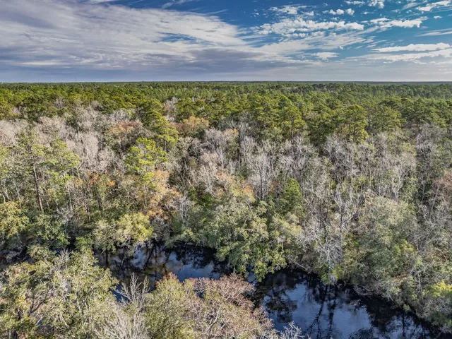 $115,000 | Xxx Maleah Lane, Sopchoppy, FL 32358