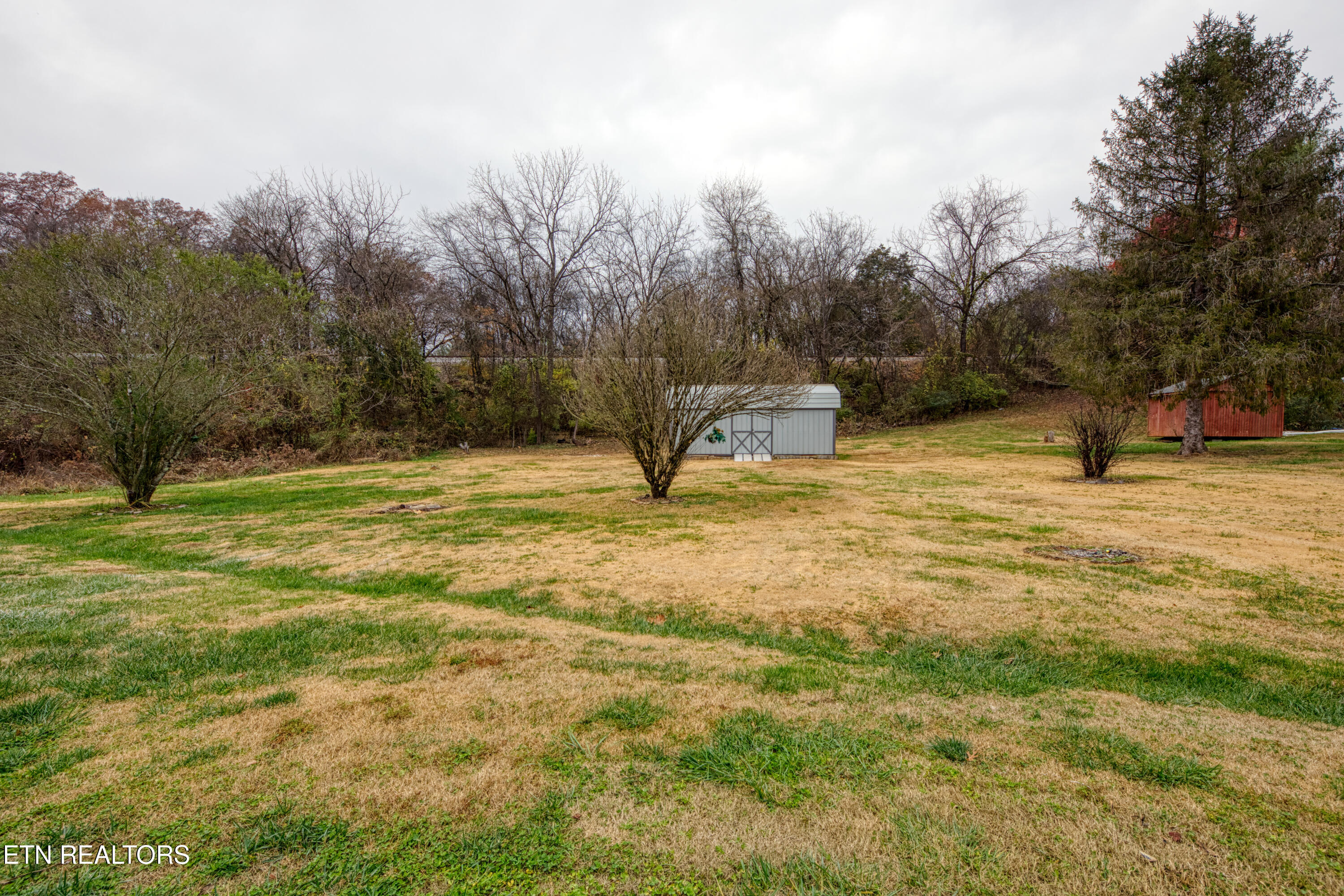18917 Martel Road Lenoir City, TN 37772 - Photo 24 of 25 0H3A0039_63