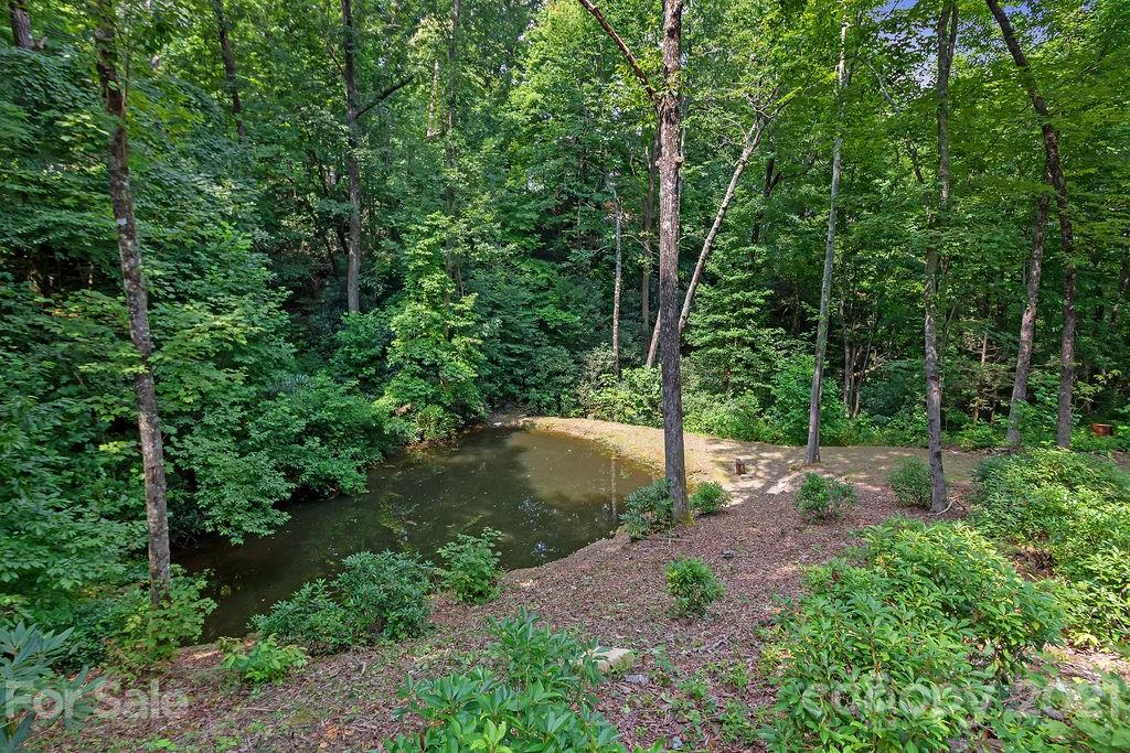 368 Uplands Road Brevard, NC 28712 - Photo 29 of 40 Gallery Image 29
