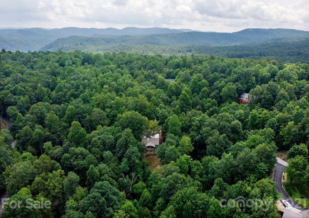 368 Uplands Road Brevard, NC 28712 - Photo 34 of 40 Gallery Image 34