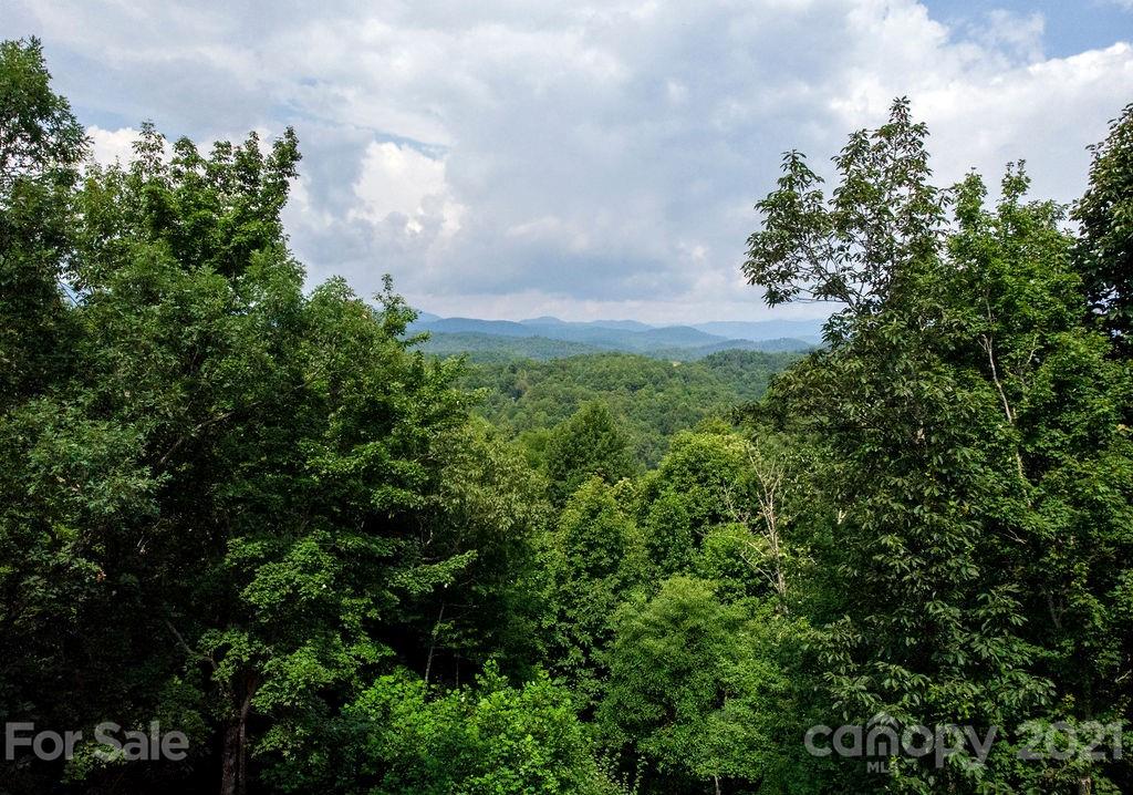 368 Uplands Road Brevard, NC 28712 - Photo 37 of 40 Gallery Image 37