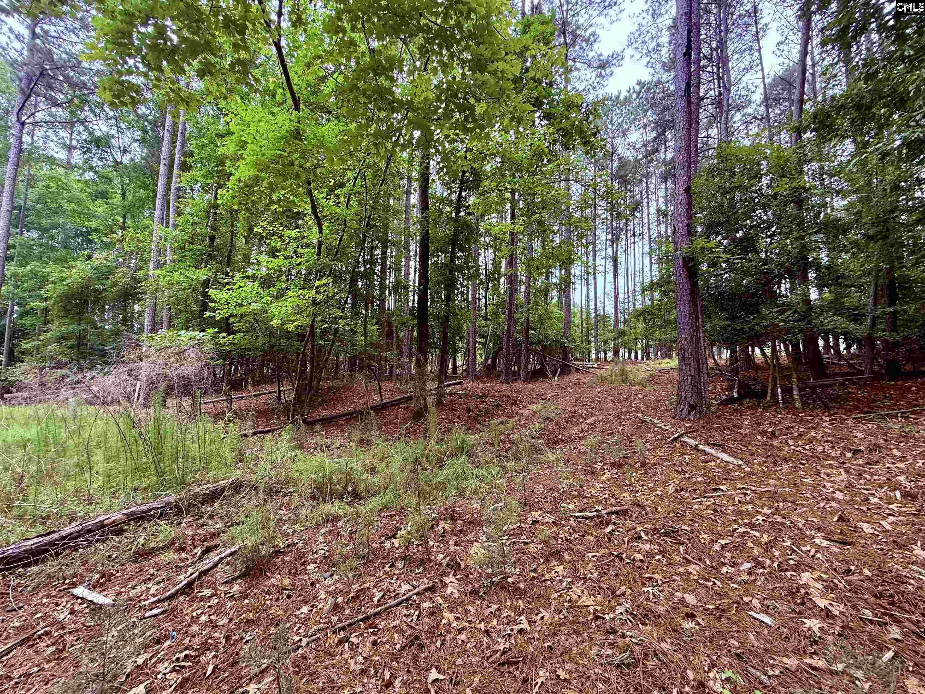 85 Timber Trl Lane Prosperity, SC 29127 - Photo 12 of 19