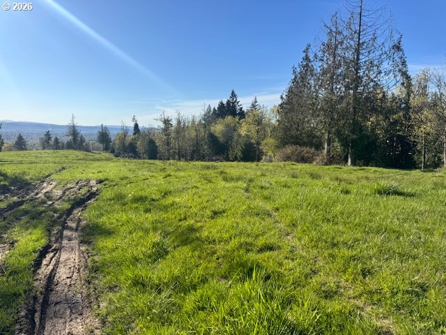 Grimm Road Kelso, WA 98626 - Photo 10 of 10