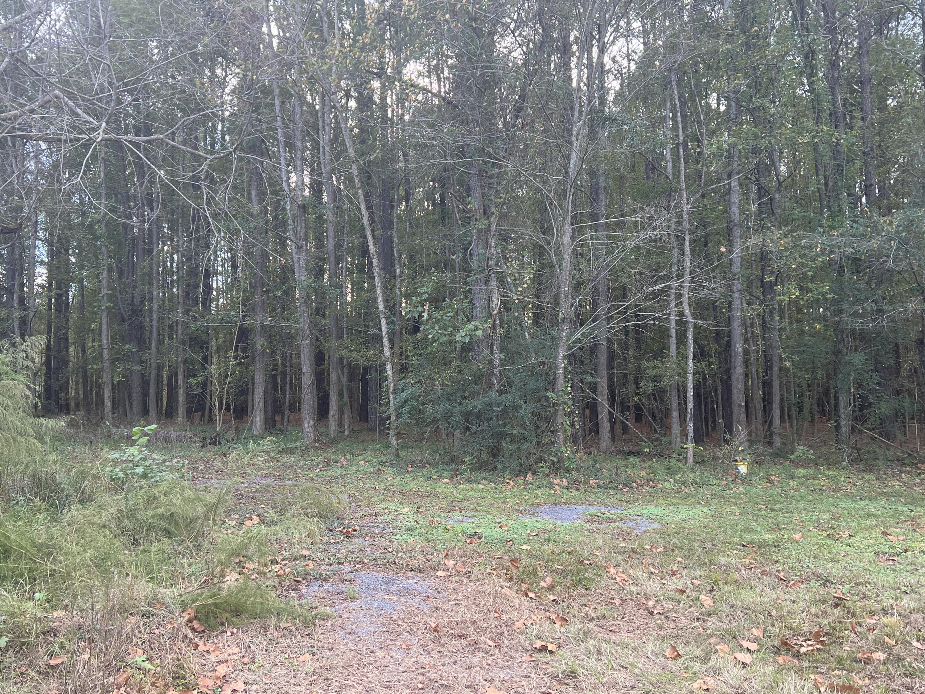 9595 Bell's Highway Ruffin, SC 29475 - Photo 20 of 23 8DFFE598-9851-4829-B58B-A41C162740D1