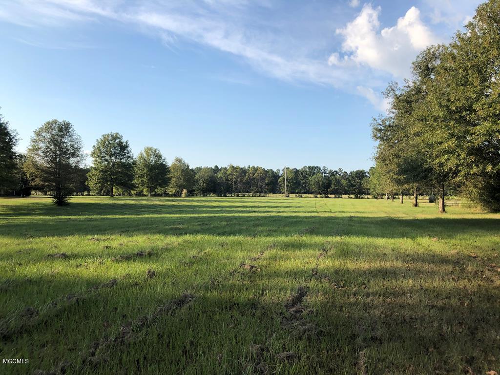 0 A A Stockstill Road Picayune, MS 39466 - Photo 1 of 5 Lot 7