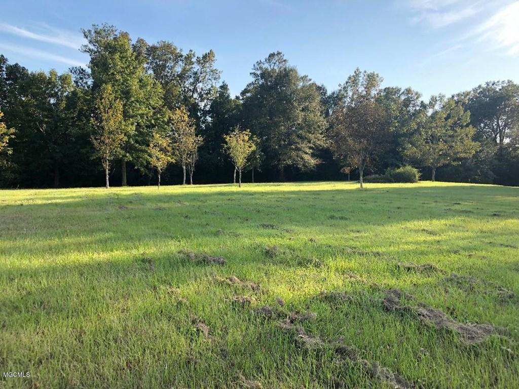0 A A Stockstill Road Picayune, MS 39466 - Photo 2 of 5 Lot 7