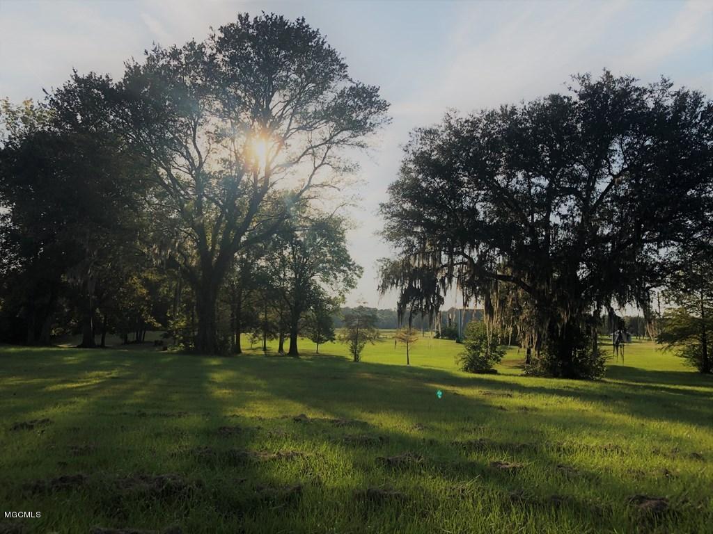 0 A A Stockstill Road Picayune, MS 39466 - Photo 3 of 5 Lot 7