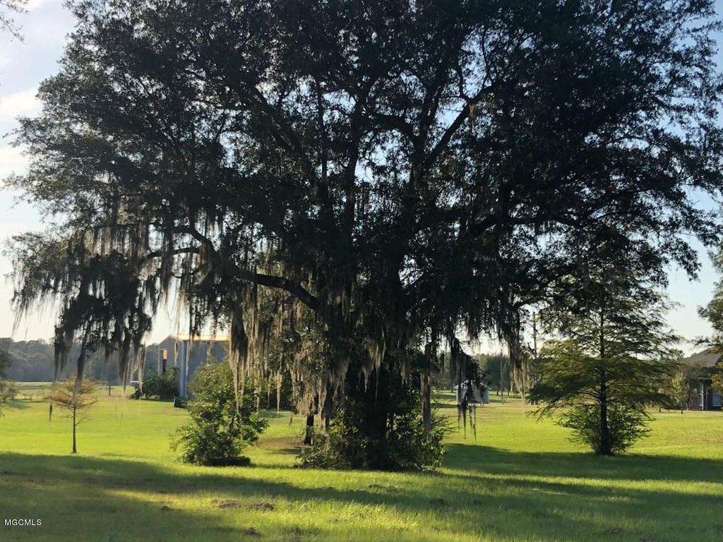 0 A A Stockstill Road Picayune, MS 39466 - Photo 4 of 5 Lot 7