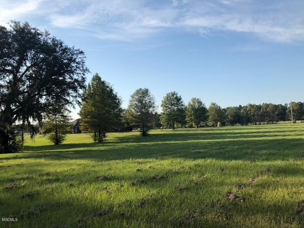 0 A A Stockstill Road Picayune, MS 39466 - Photo 5 of 5 Lot 7