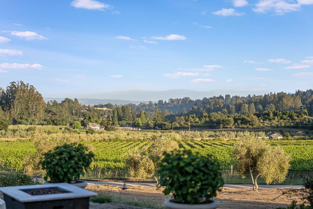2125 Pleasant Valley Road Aptos, CA 95003 - Photo 65 of 100 Gallery Image 65