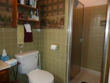 3658 Green Level Road Rocky Mount, VA 24151 - Photo 14 of 25 13 Master Bath