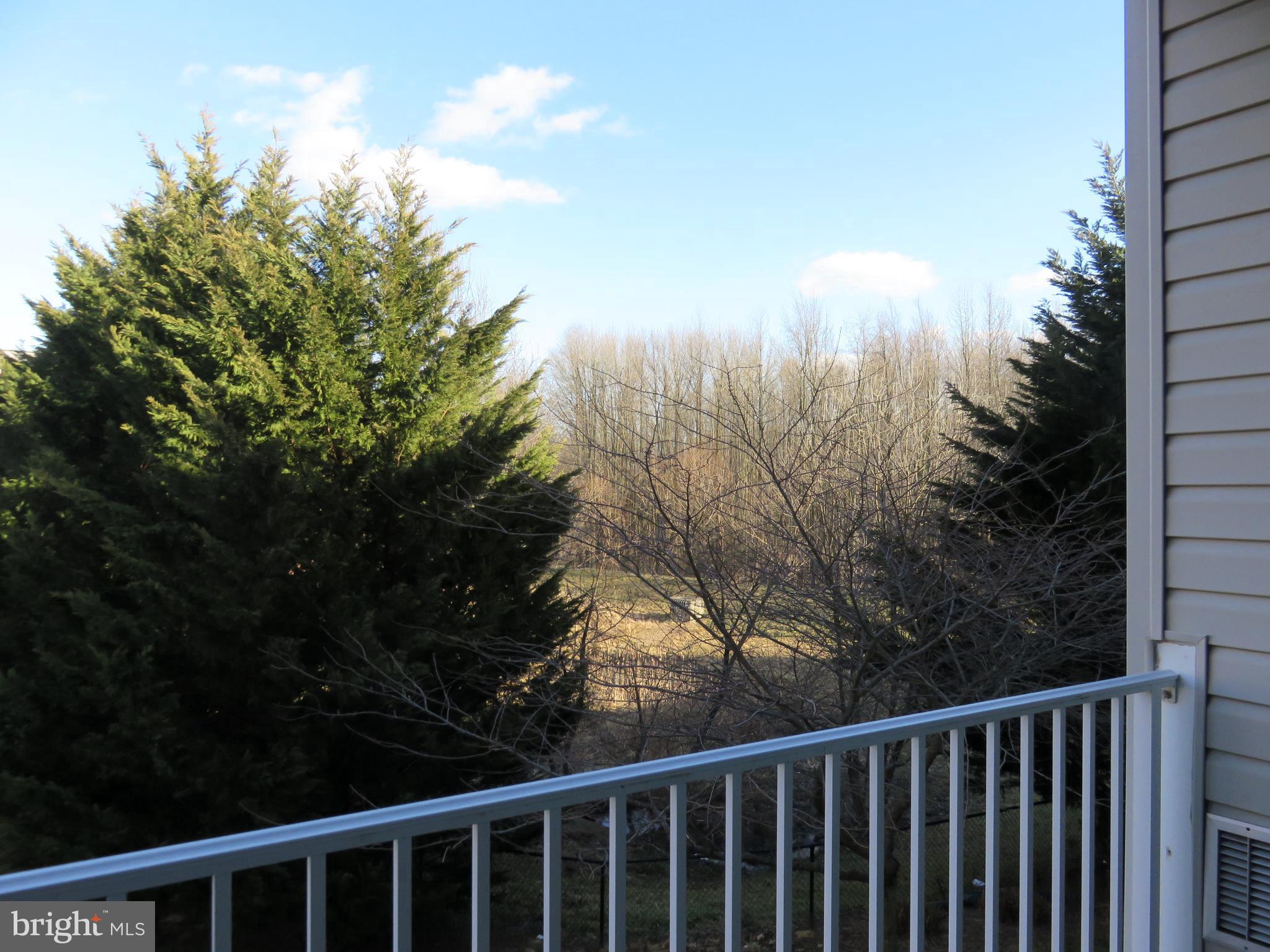 VIEW FROM YOUR BALCONY