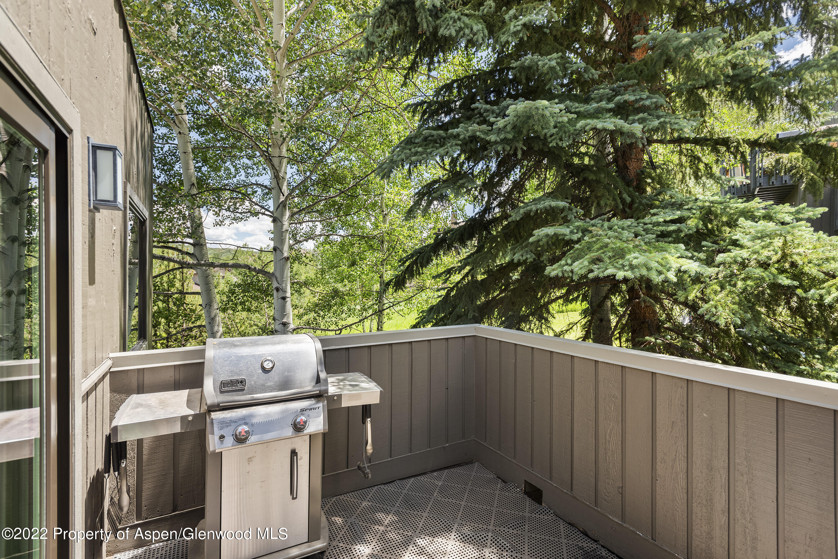 122 Meadow Ranch Road Snowmass Village, CO 81615 - Photo 18 of 22 122MeadowRanch_DASH_220708015