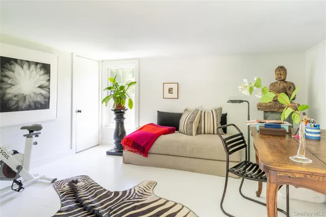 a view of a yard with plants and trees