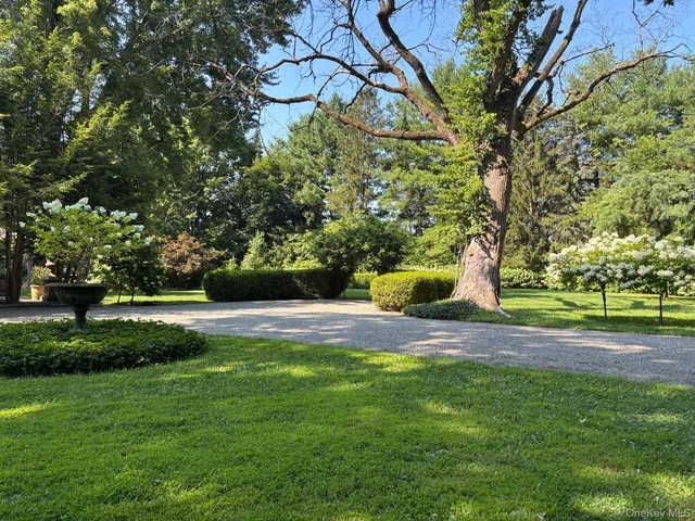 a view of a garden with a tree