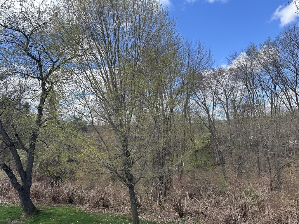 80 Damon Road, Unit 2303 Northampton, MA 01060 - Photo 8 of 23