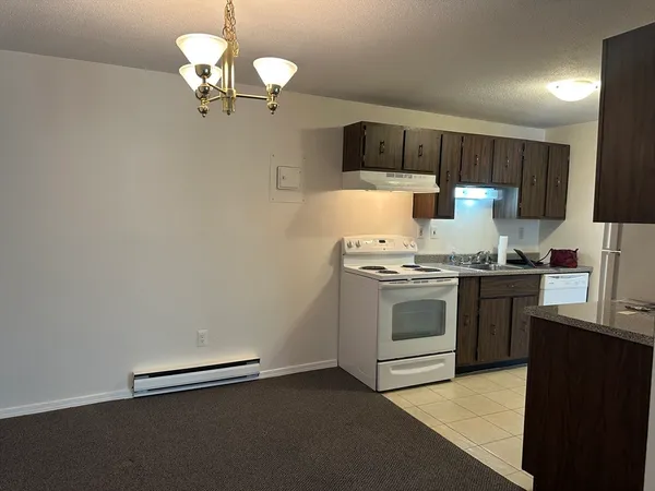 a kitchen with a sink cabinets and stainless steel appliances