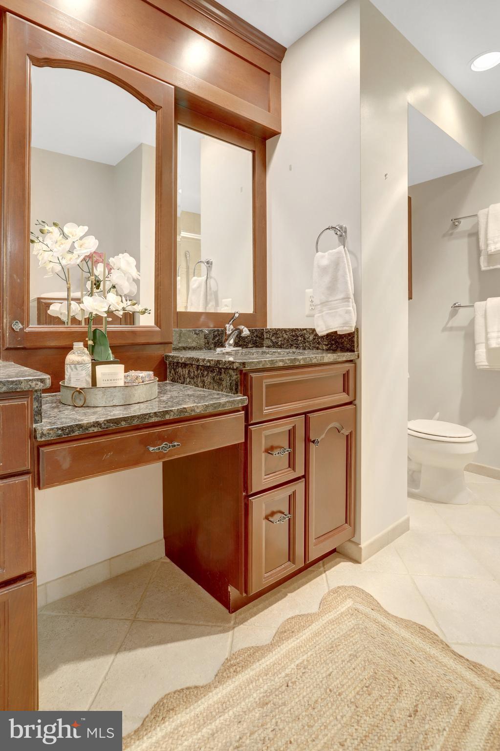 7006 Maple Tree Lane Springfield, VA 22152 - Photo 24 of 49 a large bathroom with a granite countertop sink and a mirror