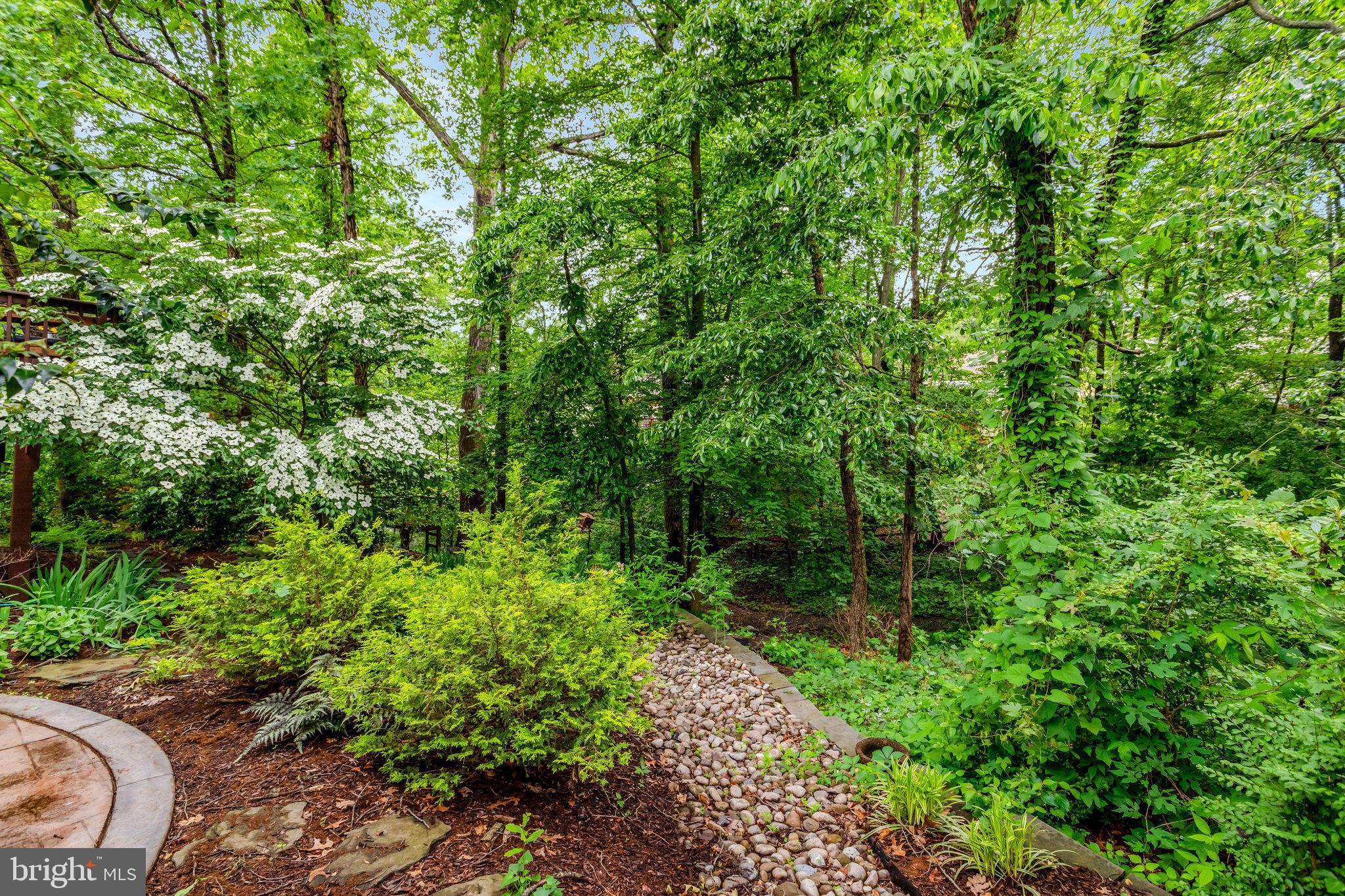 7006 Maple Tree Lane Springfield, VA 22152 - Photo 41 of 49 a view of a garden with plants