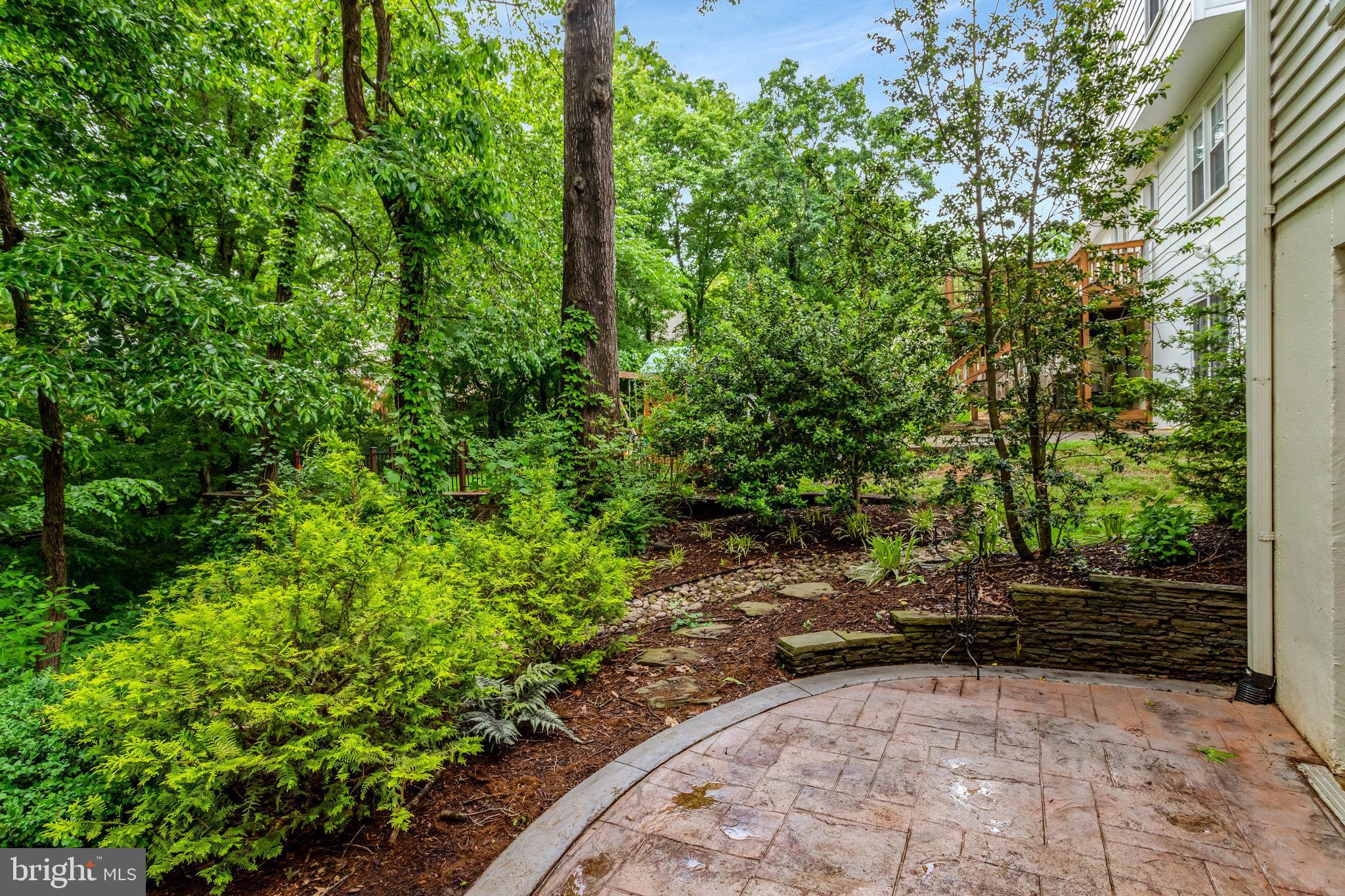 7006 Maple Tree Lane Springfield, VA 22152 - Photo 43 of 49 a view of yard