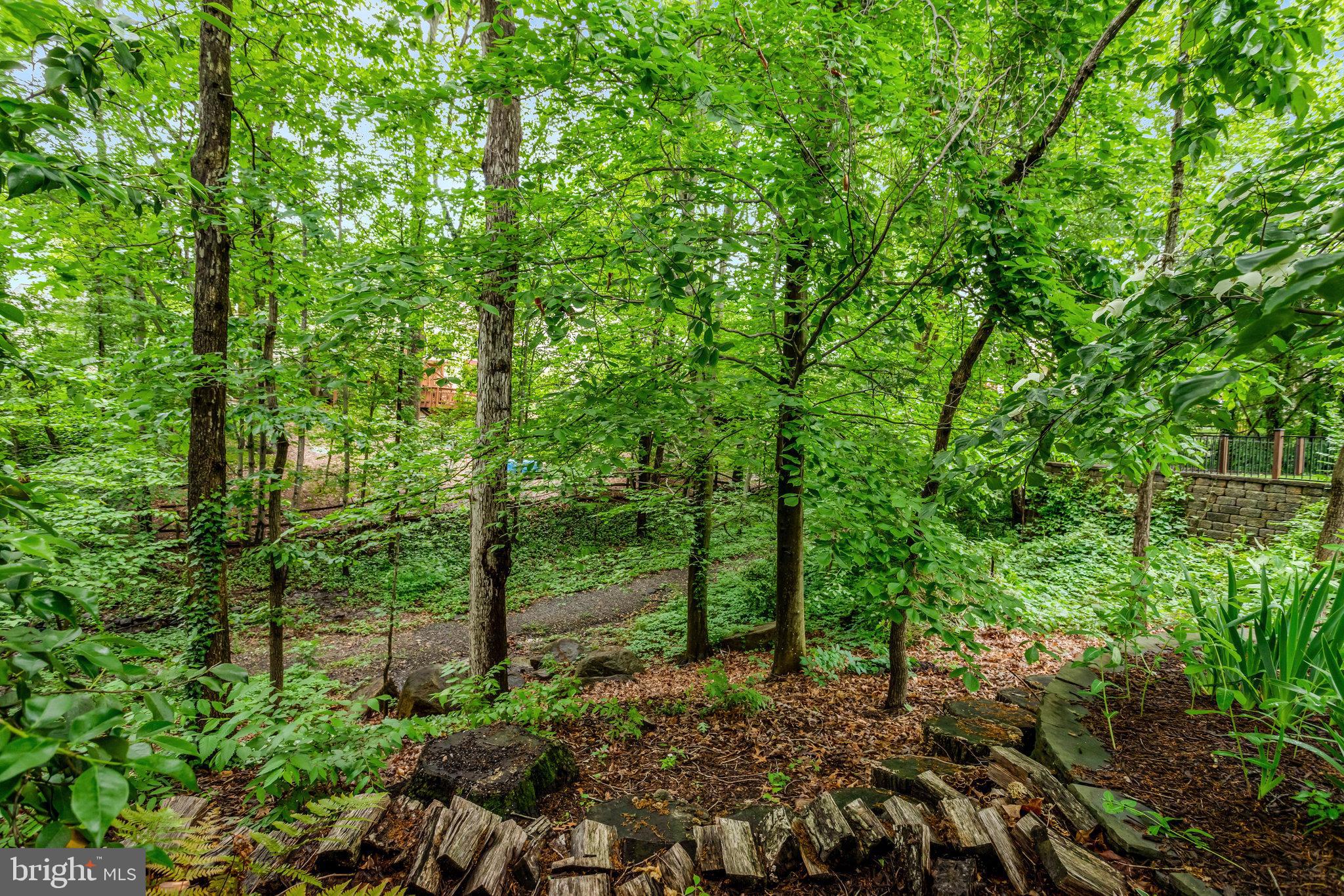 7006 Maple Tree Lane Springfield, VA 22152 - Photo 46 of 49 a view of forest