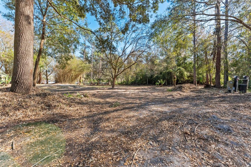 27814 Quail View Lane Wesley Chapel, FL 33544 - Photo 25 of 26 a view of outdoor space with trees