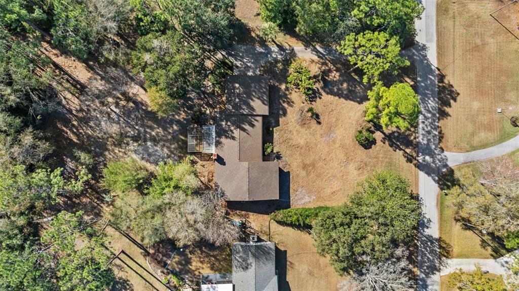 27814 Quail View Lane Wesley Chapel, FL 33544 - Photo 5 of 26 a view of a garden with plants