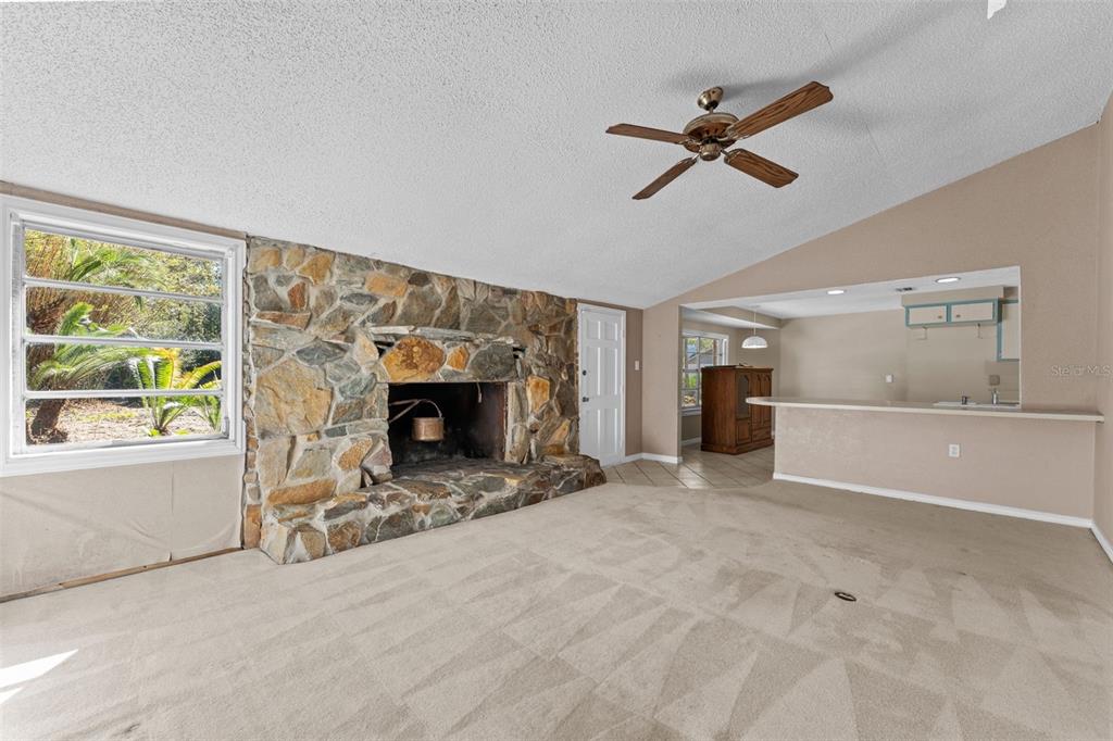 27814 Quail View Lane Wesley Chapel, FL 33544 - Photo 7 of 26 a view of a livingroom with a fireplace and window