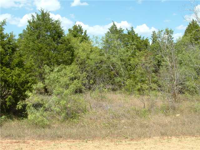 152 The Forest Road Dale, TX 78616 - Photo 1 of 1