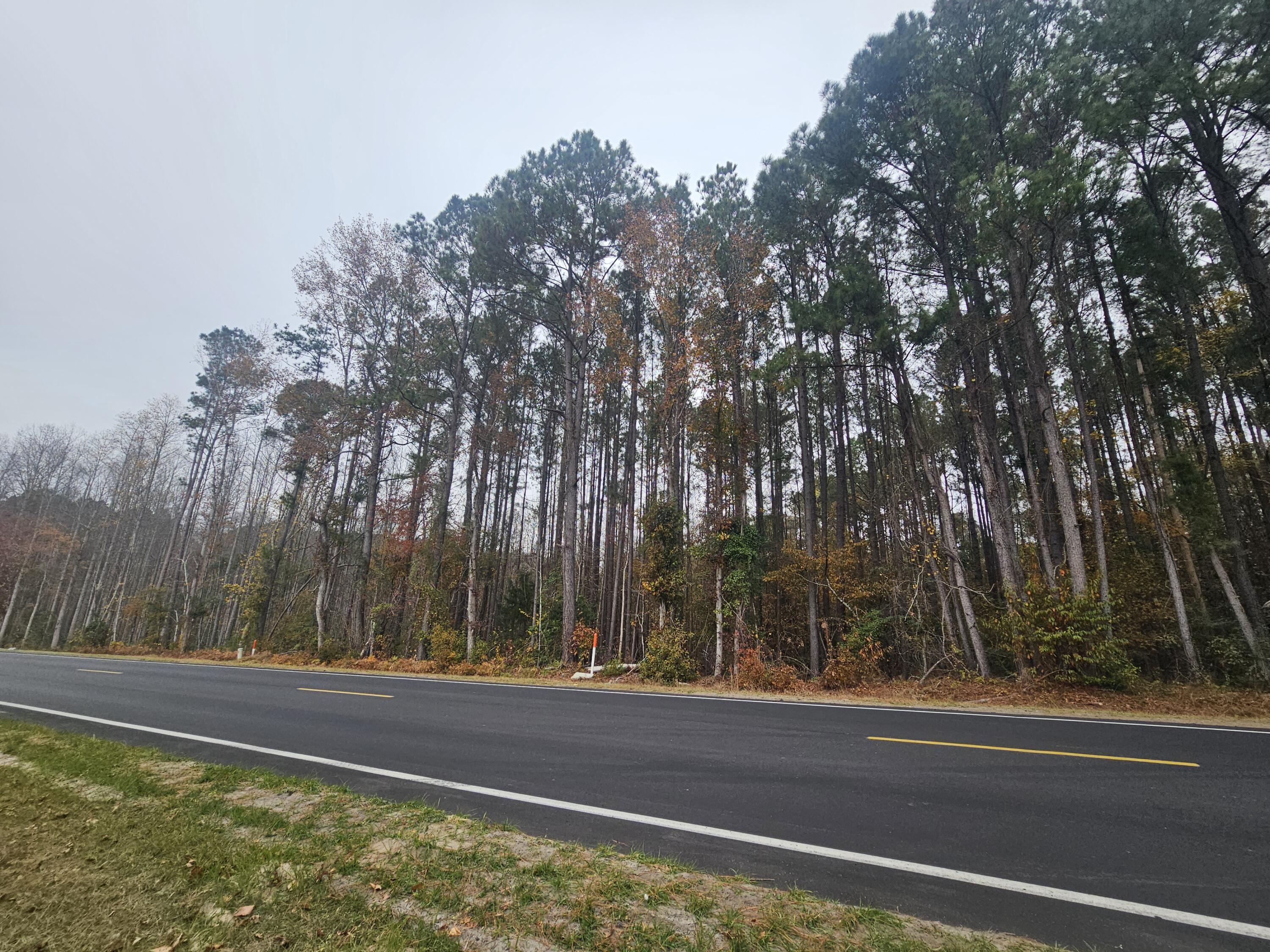 0 Norway Road Orangeburg, SC 29115 - Photo 3 of 5