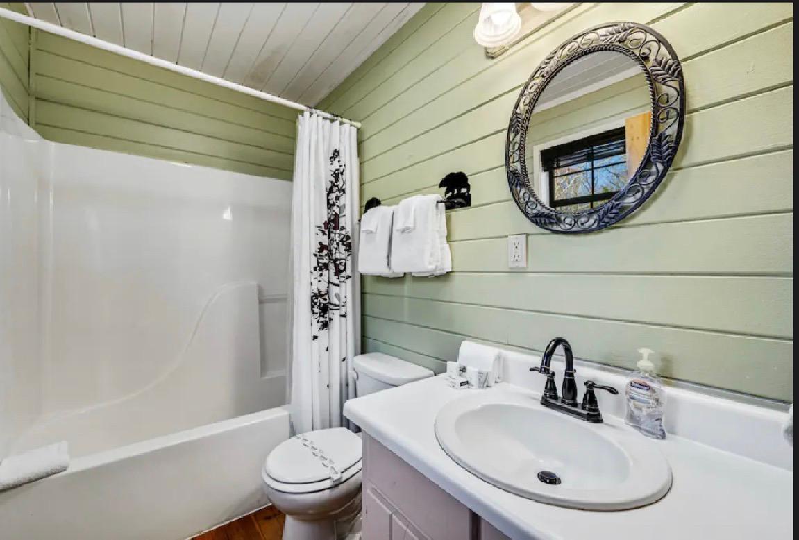 208 Wolf Trace Blue Ridge, GA 30513 - Photo 15 of 15 bahtroom 2