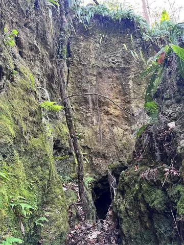 $949,999 | 4305 Southwest 20th Avenue, Ocala, FL 34471