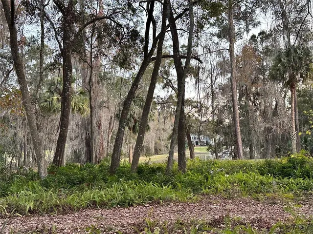 $949,999 | 4305 Southwest 20th Avenue, Ocala, FL 34471