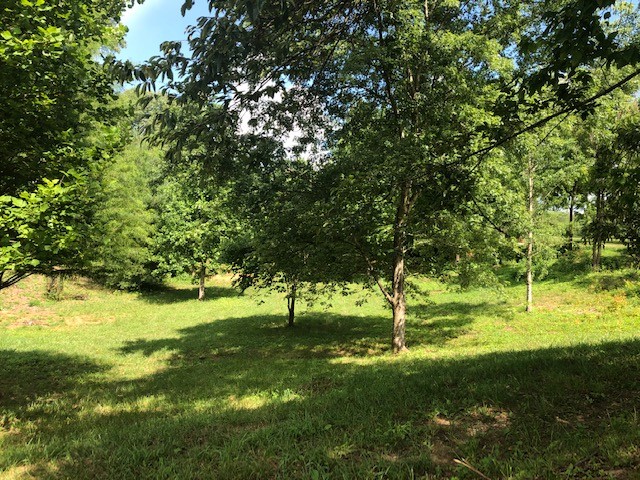 564 John Henry Demps Road Sparta, TN 38583 - Photo 41 of 43 Gallery Image 41